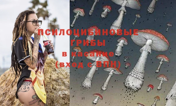первитин Алексин