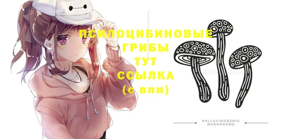 ПСИЛОЦИБИНОВЫЕ ГРИБЫ Алзамай