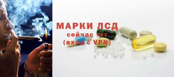 ПСИЛОЦИБИНОВЫЕ ГРИБЫ Алзамай