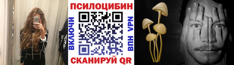Галлюциногенные грибы прущие грибы  Ступино 